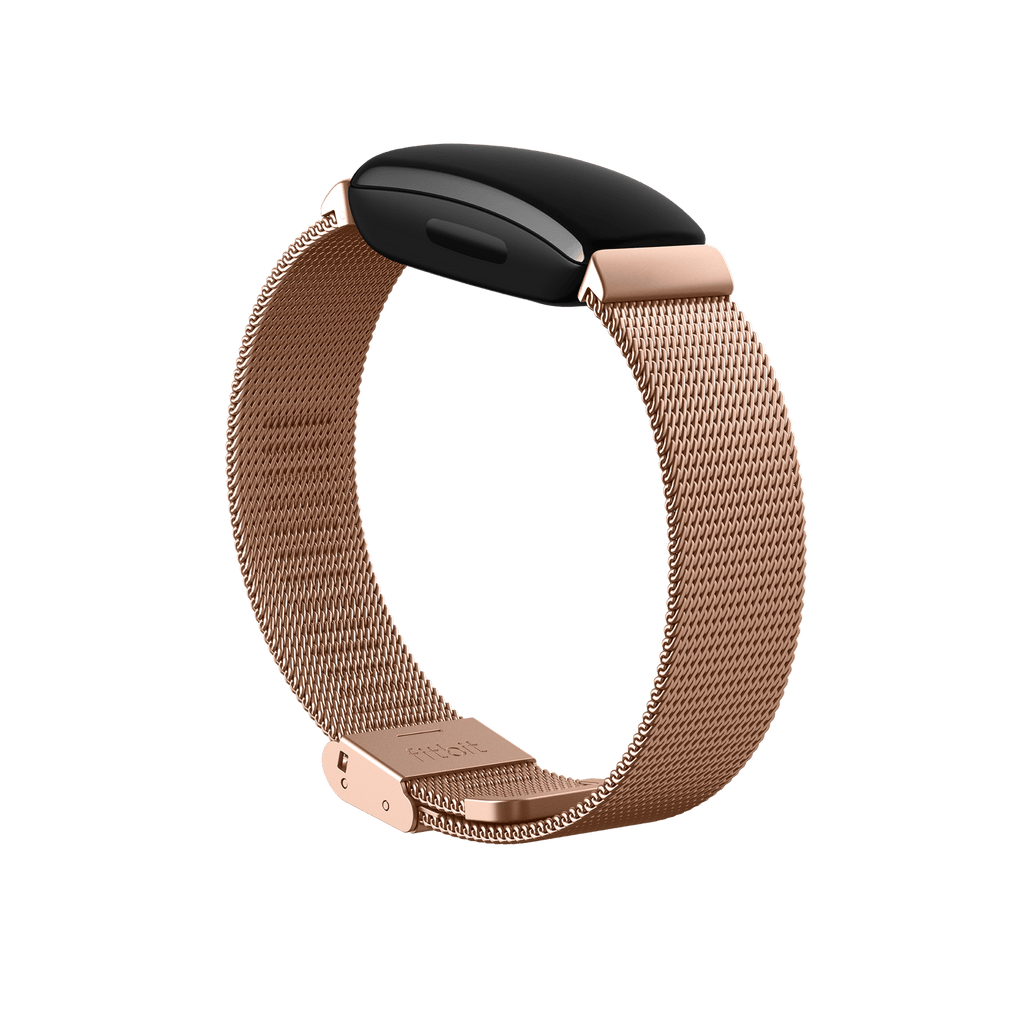 Fitbit inspire 2 stainless steel mesh hotsell